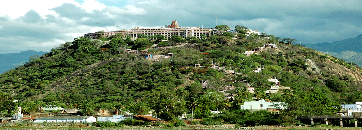 palani-temple